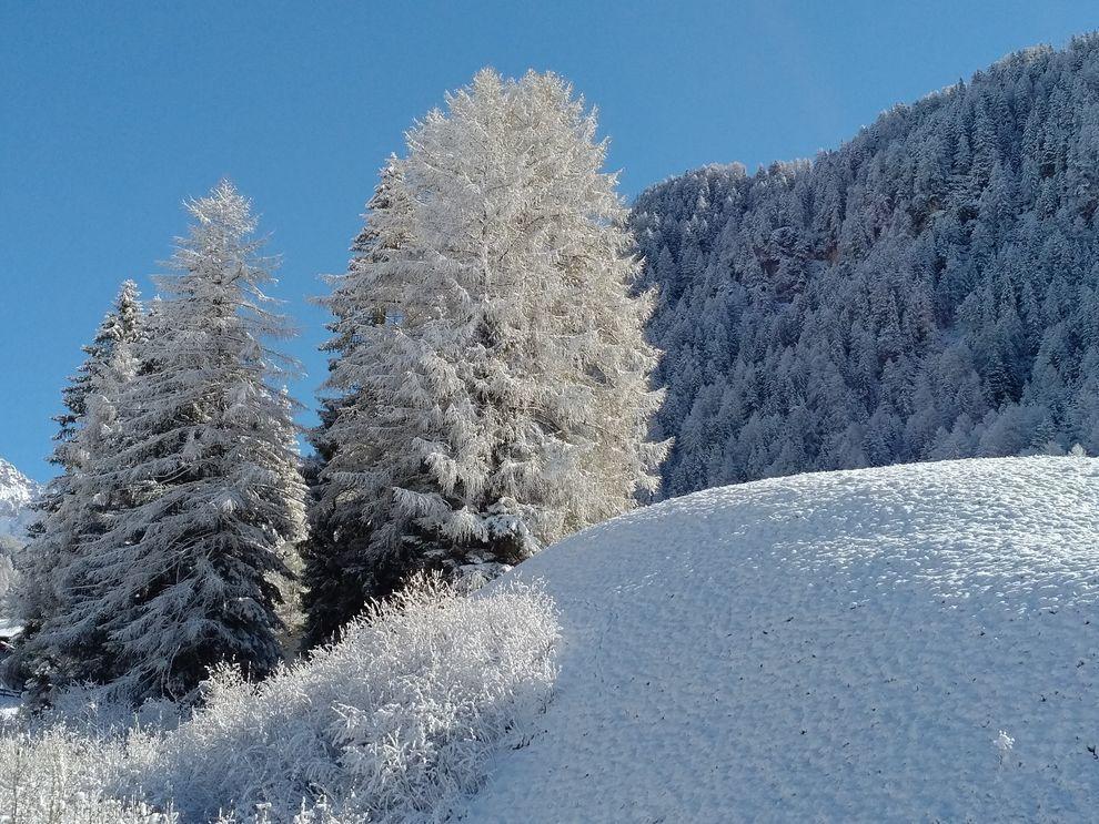 Garni Waltoy Hotel Selva di Val Gardena Bagian luar foto